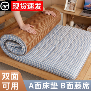 冬夏两用凉席垫子乳胶床垫软垫租房专用80x190cm藤席地垫单人