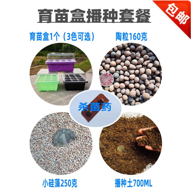 新手套餐不含适合1个六六种子