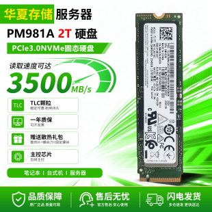 PM981A 2T M.2 NVMe 高速台式笔记本 M.2 PCIE 3.0二手固态硬盘
