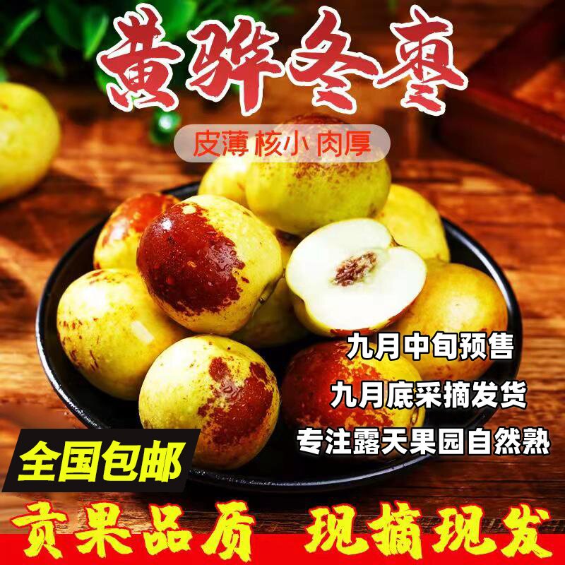 沧州黄骅冬枣新鲜5斤装一级大果应季整箱产地果园直发超脆甜大枣