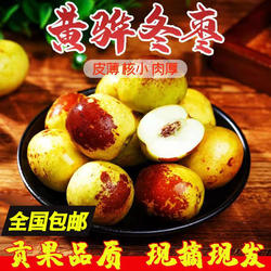 沧州黄骅冬枣新鲜5斤装一级大果应季整箱产地果园直发超脆甜大枣