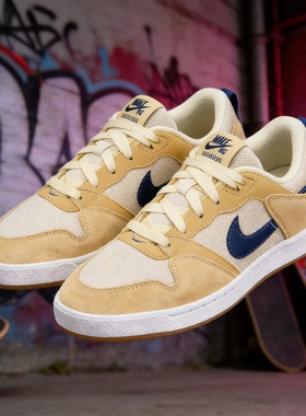 耐克NIKE SB ALLEYOOP男子休闲板鞋CJ0882-700