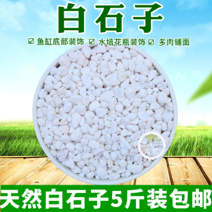 天然小白石子 卵石 多肉园艺铺面石鱼缸造景庭院白色小石头子包邮