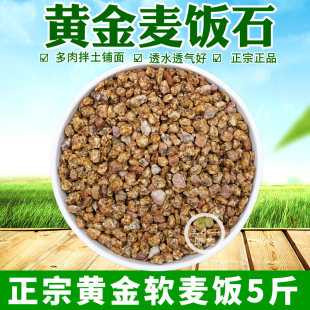 黄金软麦饭石颗粒韩国同款多肉铺面石园艺盆栽种植颗粒土干燥精筛