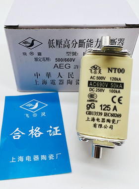 飞灵NT00-gG160A DC250V 690V熔断器熔芯100A80A63A 上海电器陶瓷