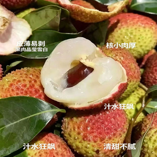 广东增城妃子笑荔枝当季新鲜水果肉厚清甜现搞现发顺丰包邮10斤