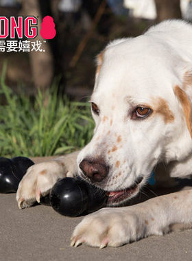 KONG天然橡胶骨头狗玩具Goodie Bone漏食中型犬磨牙耐咬益智解闷