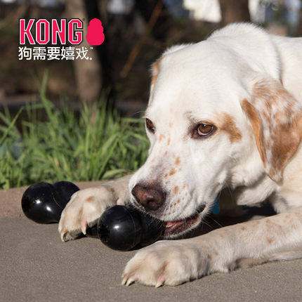 kong狗玩具橡胶骨头磨牙解闷幼犬