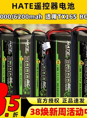 HATE航模控电遥控器电池乐迪AT9Spro迈克天地飞9锂电池1s2s3s控电