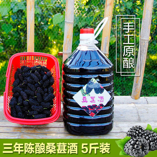 农家桑葚酒自酿正品酿制江西特级