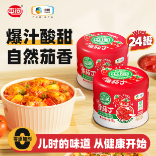 24罐 中粮屯河新鲜番茄丁新鲜西红柿无添加剂罐头番茄酱203g