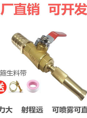 洗车水枪全铜软管地板猪圈猪栏
