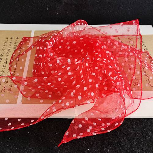 波点丝巾欧根纱围巾百搭纱巾披肩