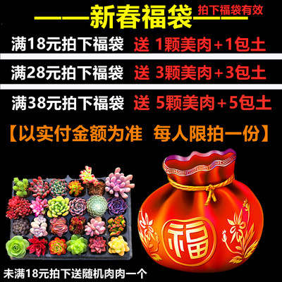 新春盆栽销量排行榜 新春盆栽品牌热度排名 小麦优选