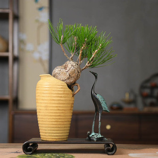 孤品黑松坨坨造型创意盆景老桩室内中式玄关茶室绿植摆件好养精品