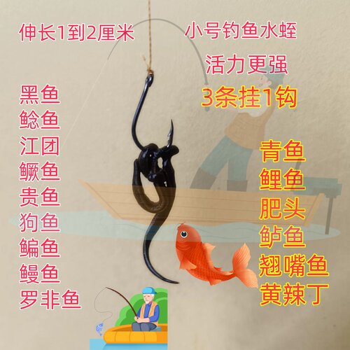鲜活水蛭钓鱼绿色不吸血蚂蟥
