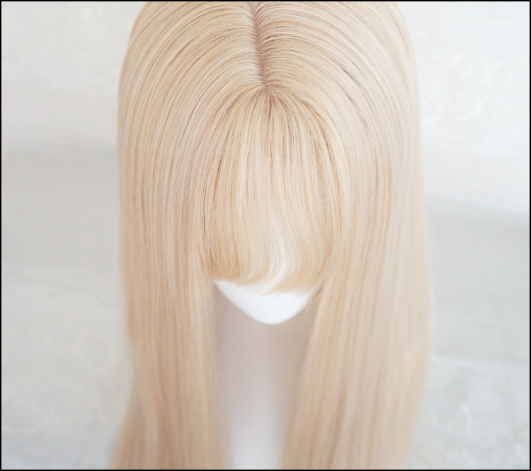 Perruque OTHER   Long cheveux raides - Ref 2608603 Image 5