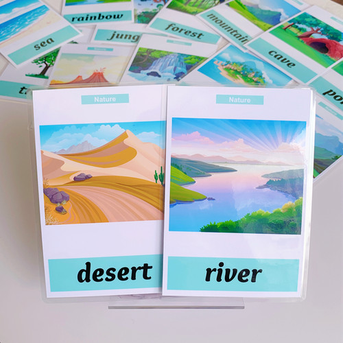 防水塑封自然主题英语单词卡片