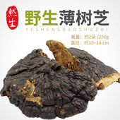 然生 云南野生薄树灵芝薄树层孔菌野生薄树灵芝可切灵芝片250g