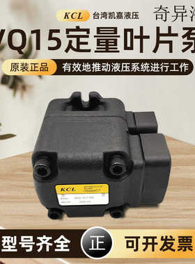 台湾KCL凯嘉VQ15-6/8/11/14/17/19/23/26/31/38-F-RAA-01叶片油泵