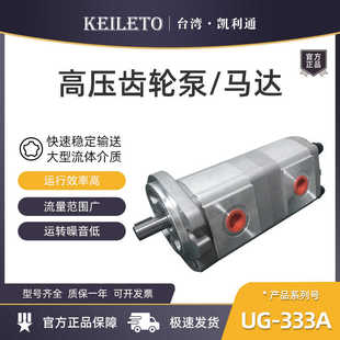 F19R F30R F6R F28R F25R F23R F17R F14R F11R 33A 液压齿轮泵UG