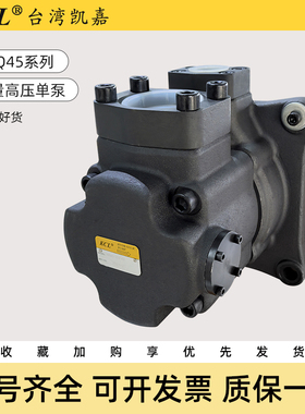 台湾KCL凯嘉液压油泵DVQ20-14-F-RAL-03叶片泵DVQ/SVQ15/25/35/45