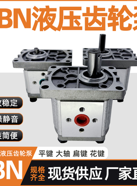 齿轮液压油泵总成CBT-F310 CBN-F304/F306/F316/E314/320/325FER2