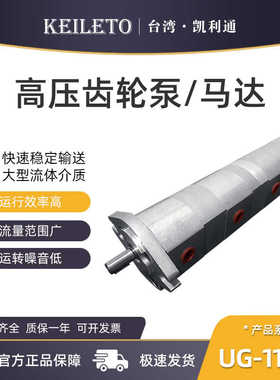液压齿轮泵双联泵UG-11A-F11R/F22R/F33R/F44/F55/F66/F88R-X2-2B