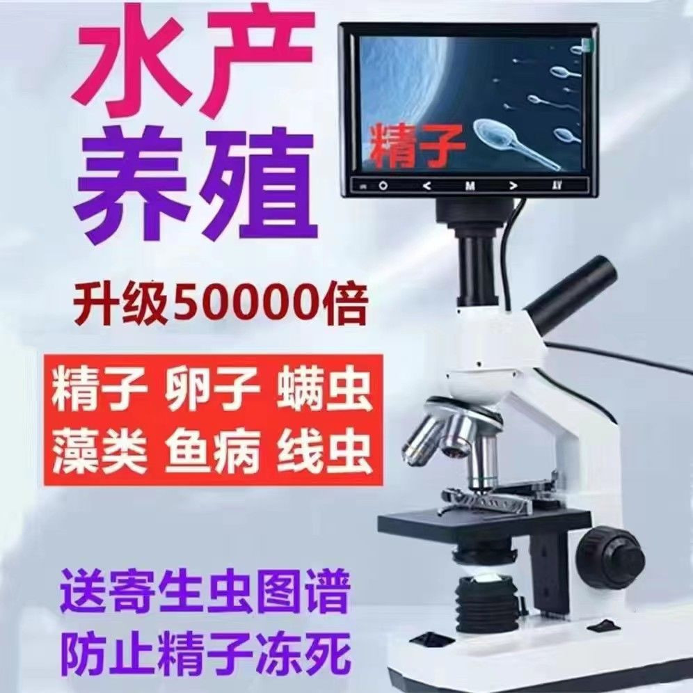 显微镜专业看猪精子卵子