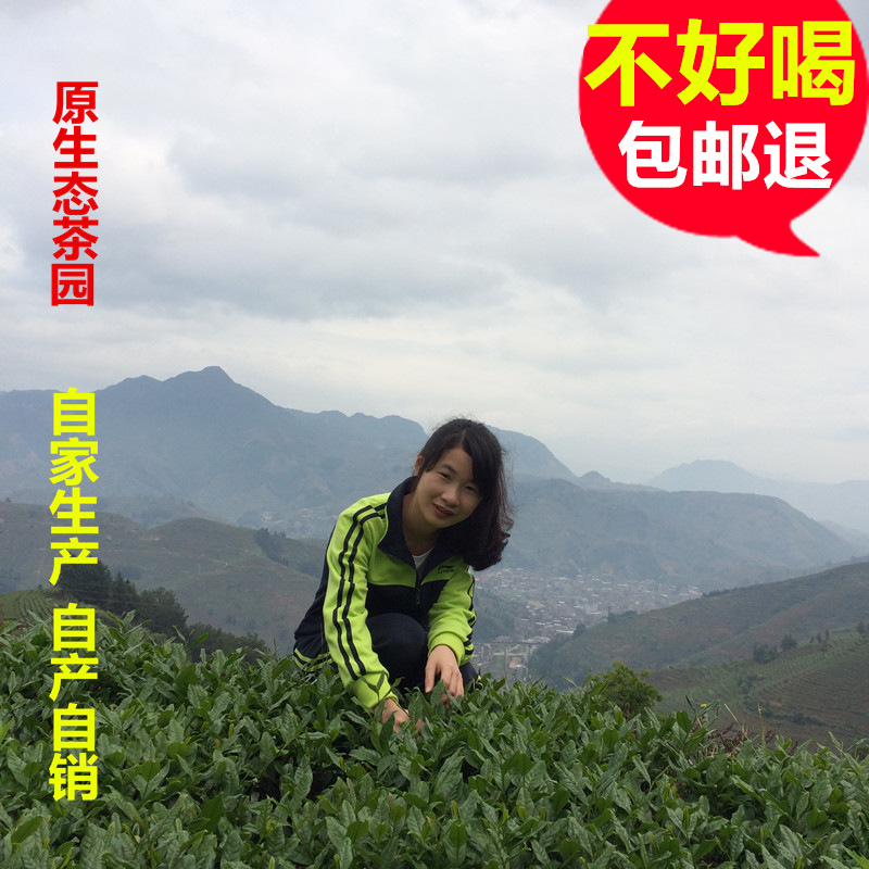 正宗兰花香高山茶送礼安溪铁观音