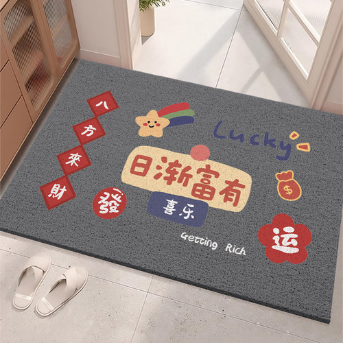 入户门地垫防滑吸水吸尘定制脚垫