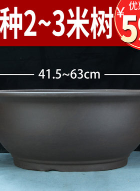 紫砂简约2-3米种树大盆