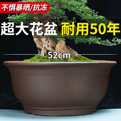 紫砂简约超大种树陶瓷盆