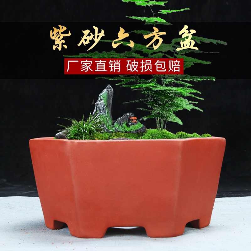 紫砂简约六边六方盆景陶瓷兰花盆