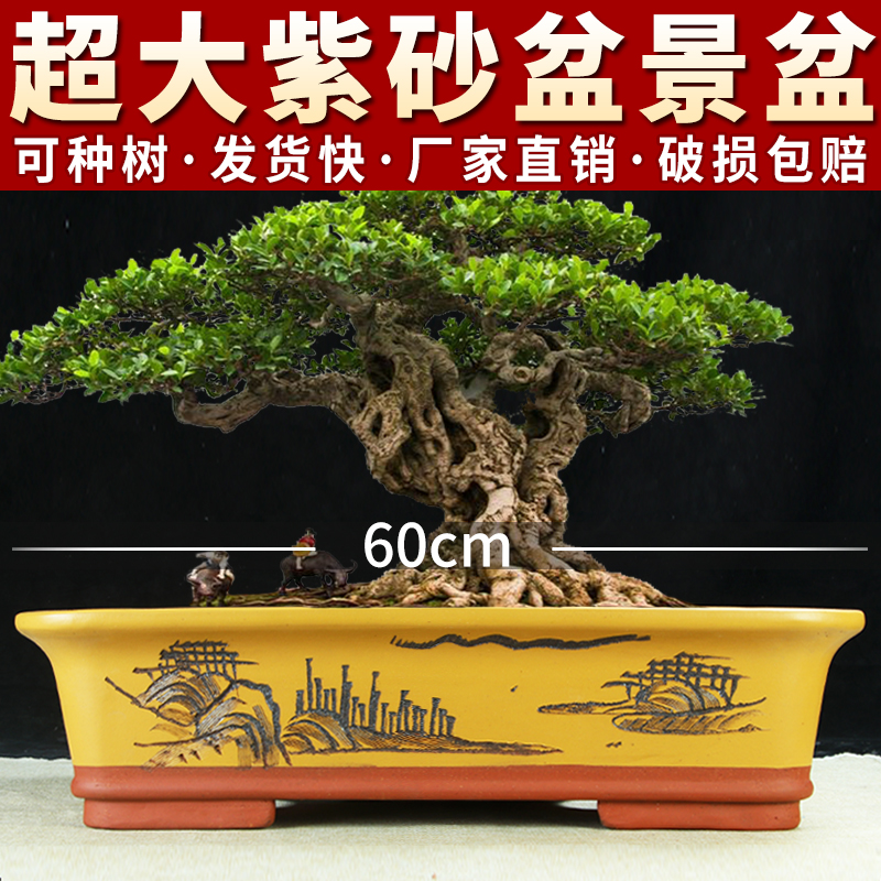 宜兴紫砂花盆特价清仓特大号四方长方形盆景盆方形马槽专用陶瓷盆