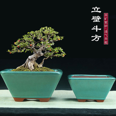 紫砂简约超大斗四方釉盆