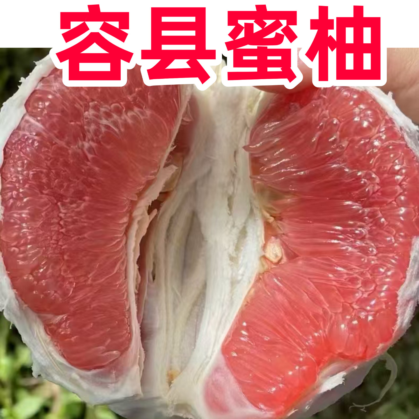 正宗容县自良红心蜜柚白肉柚子黄