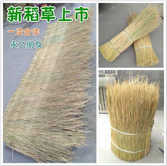 农家乐屋顶屋檐室内外稻草装饰 干稻草 稻草帘子 新稻草 草垛凳子