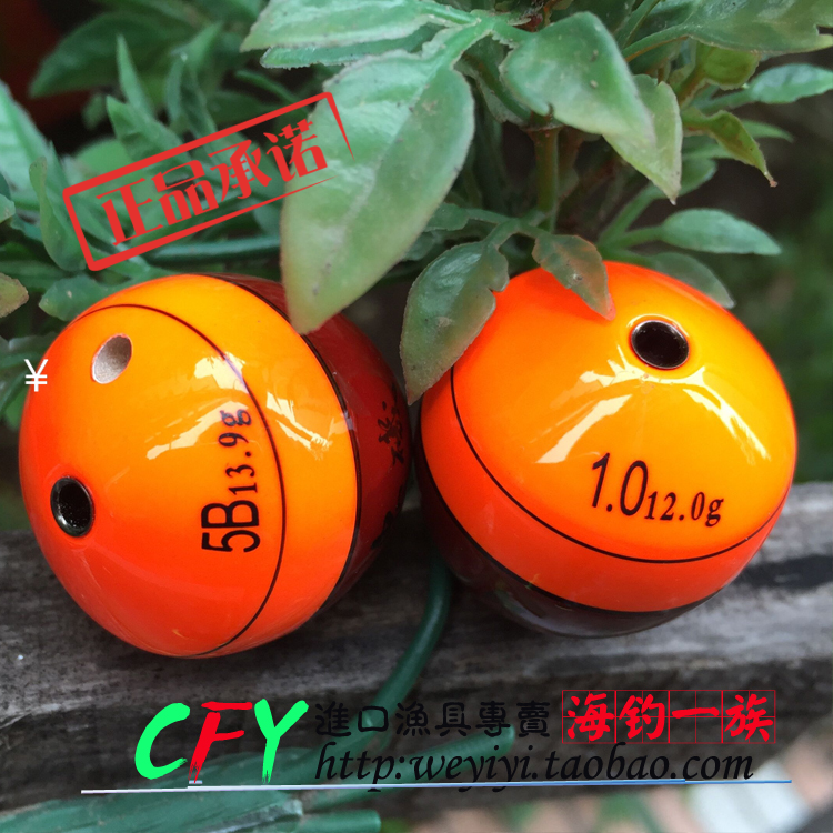 鬼钓可插夜光棒阿波漂