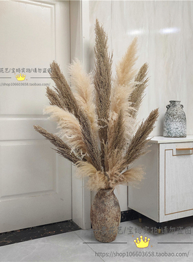 芦竹干花民宿装饰拍摄橱窗摆设