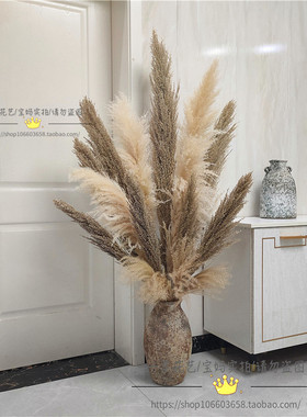 芦竹干花民宿装饰拍摄橱窗摆设