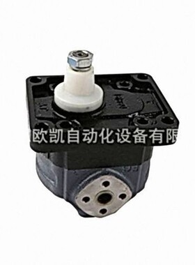 供应Casappa齿轮泵KP30.31D0-A8K9-LMD/MB-H-HSC-VNR01