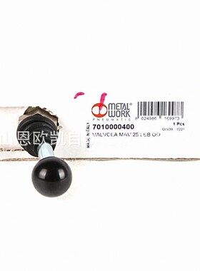 意大利METALWROK电磁阀7010000400