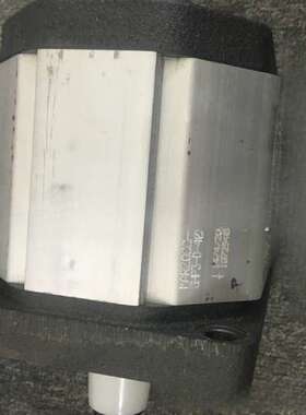 优势现货供应意大利马祖奇齿轮泵 MARZOCCHIGHP2A-S-9-FG