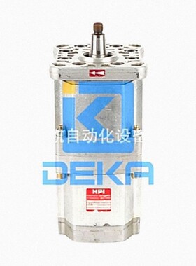 法国HPI齿轮泵P1BAN3031HA3031HL10B03N