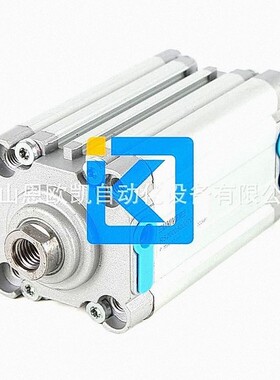 意大利UNIVER气缸RS2000500070