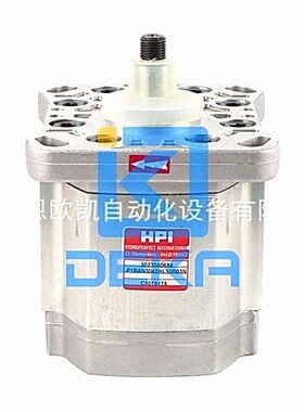 法国HPI齿轮泵P1BAN3040HL10B03N
