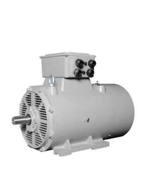 优势供应 德国 Lammers 低压交流电机 中高压电机 等全系列产品