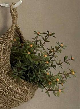 北欧ins手工棉绳编织墙挂装饰收纳袋壁挂蔬菜收纳水果篮壁饰