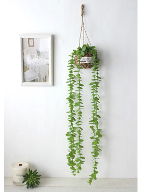 北欧ins仿真金钱草仿真花绿植壁挂家居装饰小吊篮
